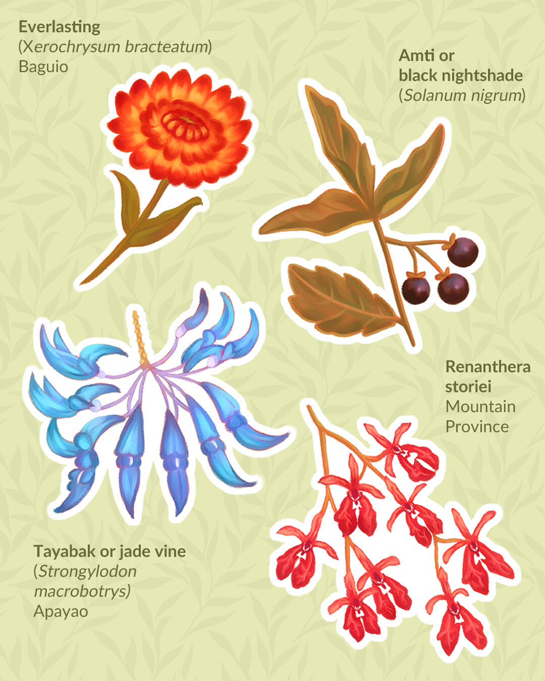 Cordilleran Flora
